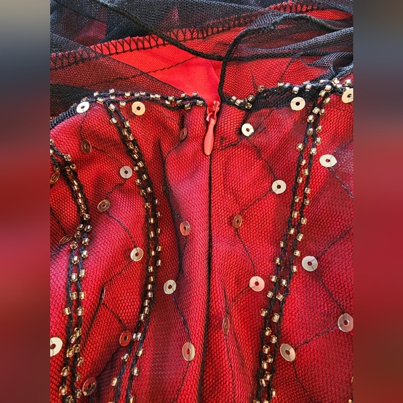 Plus size Sparkly Tulle Dress - Picture 8 of 9